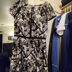 Black and White casual small dress